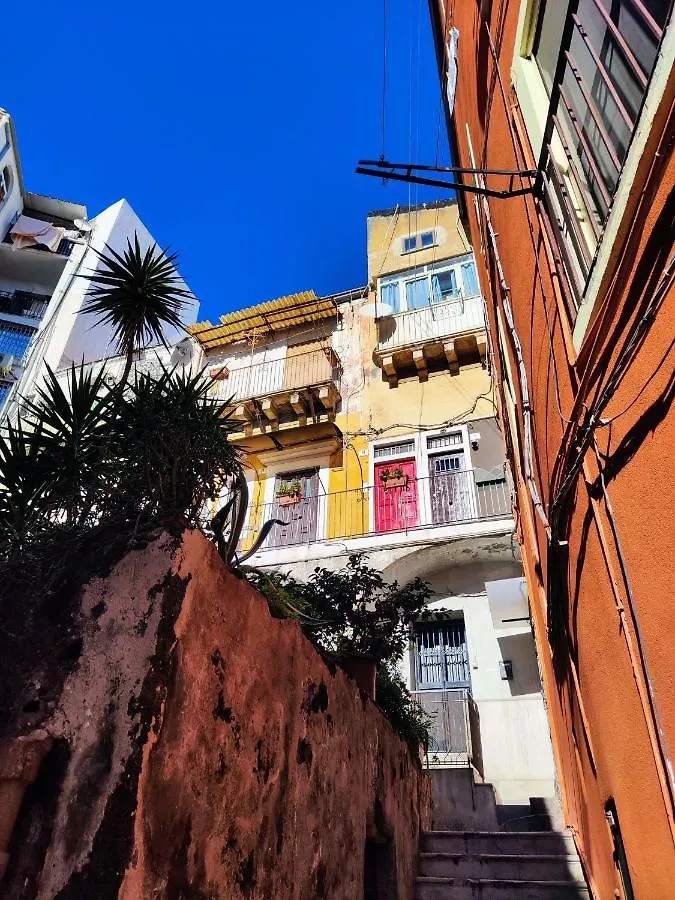 Vico Viscuso Apartment Catania