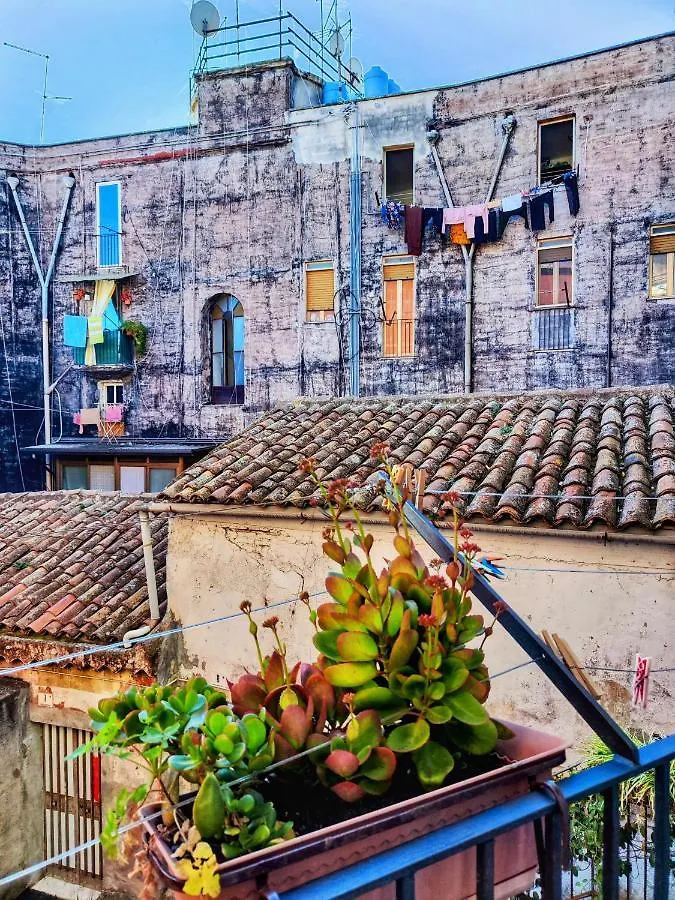 Vico Viscuso Apartment Catania Italy